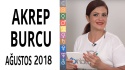 Akrep Burcu Ağustos 2018 Yorumları