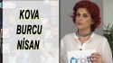 Kova Burcu Nisan 2017 Yorumları