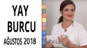 Yay Burcu Ağustos 2018 Yorumları