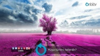 Rüya türleri nelerdir?