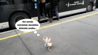 Boş Metrobüs Beklerken