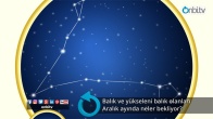 Balık ve yükseleni balık olanları aralık ayında neler bekliyor?