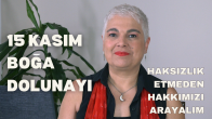 15 Kasım Boğa Burcunda Dolunay
