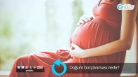 Doğum borçlanmasi nedir?