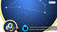 Aslan burcu ve yükseleni aslan olanları aralık ayında neler bekliyor?