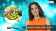 Evimizin havasını nasıl temizleriz?