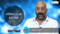 Seyirci nedir?