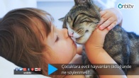 Çocuklara evcil hayvanları öldüğünde ne söylenmeli?