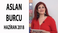 Aslan Burcu Haziran 2018 Yorumları