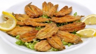 Hamsi Kuşu