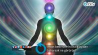 İnsan bedenine holistik açıdan bakarsak ne görürüz?