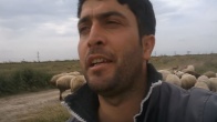 Bu Sese Hayran Kalacaksınız! Nazende Sevgilim