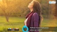 Nefesin hücre hafızasına etkisi var mıdır?