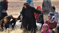 Birleşmiş Milletler'den Dünyaya Çağrı