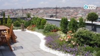 Balkon ve teraslarda hangi bitkiler yetiştirilir?