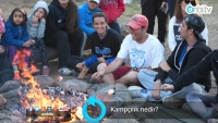 Kampçılık nedir?