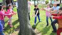 Tai Chi Chi Gong nasıl öğrenilir?