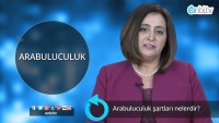 Arabuluculuk şartları nelerdir?