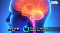 Rüya ile bilinç arasında nasıl bir ilişki vardır?