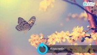 Rüya nedir?