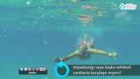 Köpekbalığı veya başka tehlikeli canlılarla karşılaşır mıyım? 