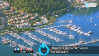 Mavi turun maliyeti ne kadardır? 