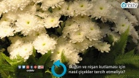 Düğün ve nişan kutlaması için nasıl çiçekler tercih etmeliyiz?