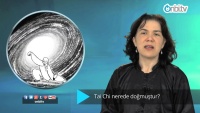 Tai Chi nerede doğmuştur?