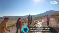 Kampçılara koçluk yapan ekip nasıl olmalıdır?