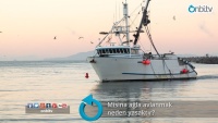 Misina ağla avlanmak neden yasaktır?