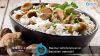 Mantar zehirlenmesinin belirtileri nelerdir?