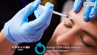Somon DNA hangi amaçla uygulanmaktadır?