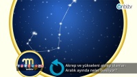 Akrep ve yükseleni akrep olanları aralık ayında neler bekliyor?