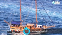 Mavi yolculuk nedir?