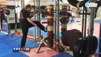 Sifu nedir?