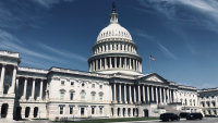 Doğu Amerika Günlükleri 3: Washington
