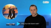Wing Tsun aile sistemi nedir?