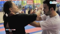 Wing Tsun’da avcı sistemi nedir?