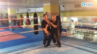 Wing Tsun eğitim seviyeleri nelerdir?