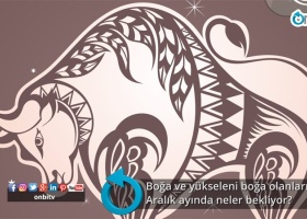 Boğa ve yükseleni boğa olanları aralık ayında neler bekliyor?