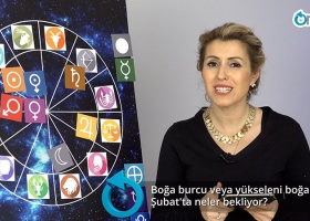 Boğa ve yükseleni boğa olanları Şubat ayında neler bekliyor?