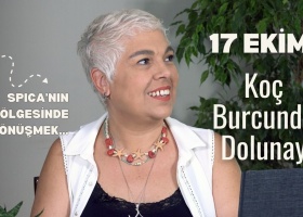 17 Ekim Koç Burcunda Dolunay