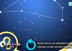 Aslan burcu ve yükseleni aslan olanları aralık ayında neler bekliyor?