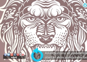 Aslan burcunu ve yükseleni Aslan olanları Ekim ayında neler bekliyor? 