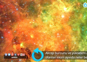 Akrep burcunu ve yükseleni Akrep olanları Ekim ayında neler bekliyor?