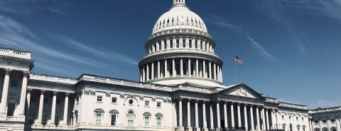 Doğu Amerika Günlükleri 3: Washington