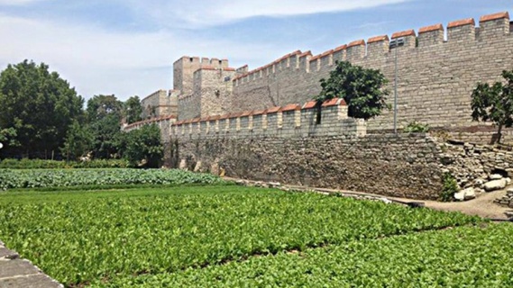 8-9 Mayıs İstanbul’un Marul Bayramı!