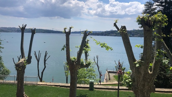 Anadolu Yakası Yalıları ve Kanlıca-Çubuklu-Paşabahçe- Beykoz