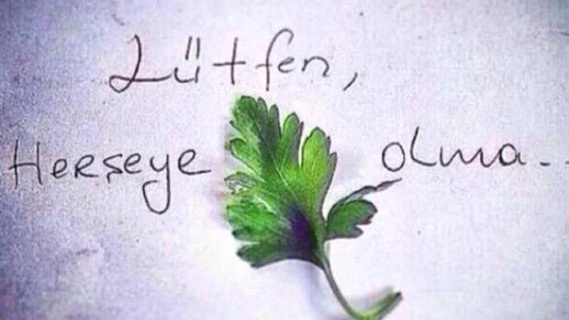 Seni Maydanoz Yaptırmayacağız