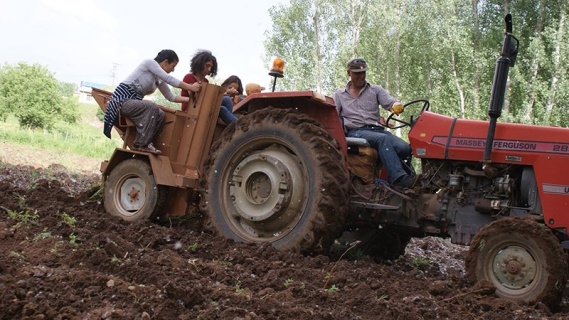Ovacık Belediyesi